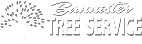 Bannister Tree Service