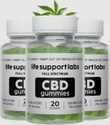 Life Support Labs Full Spectrum CBD Gummies
