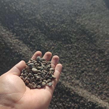 Pea gravel or extra small size river rock quarter inch