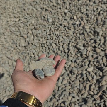 Medium size River rock 1.5 inches