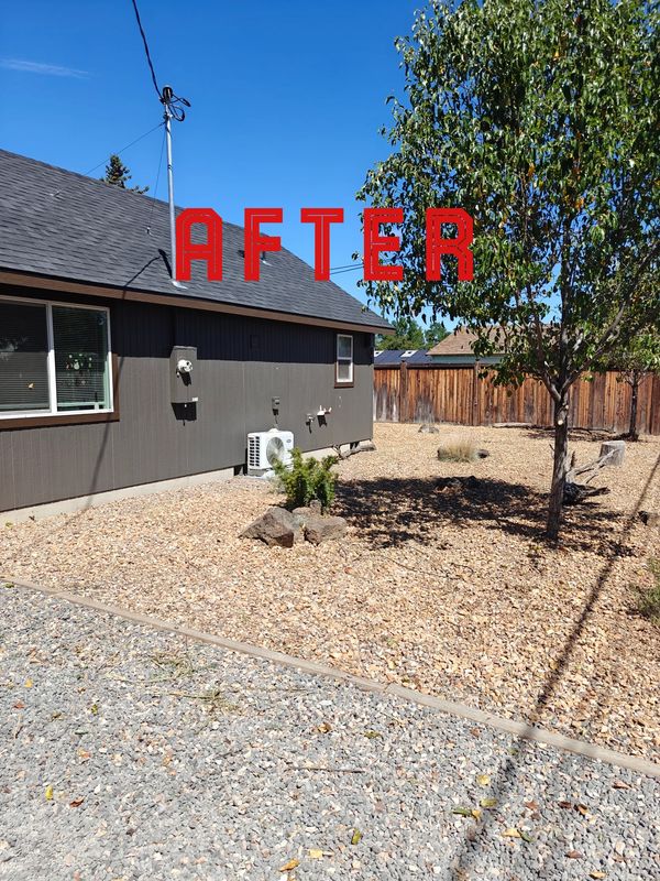 Cleaned and landscaped backyard with gravel and a tree, labeled 'AFTER'.