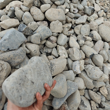 Oversized river rock 4 inches to 6 inches