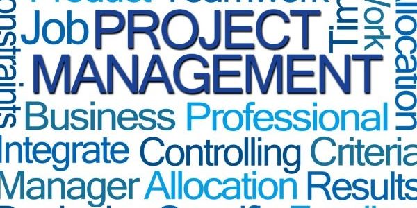 project management