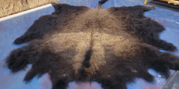 Buffalo hide