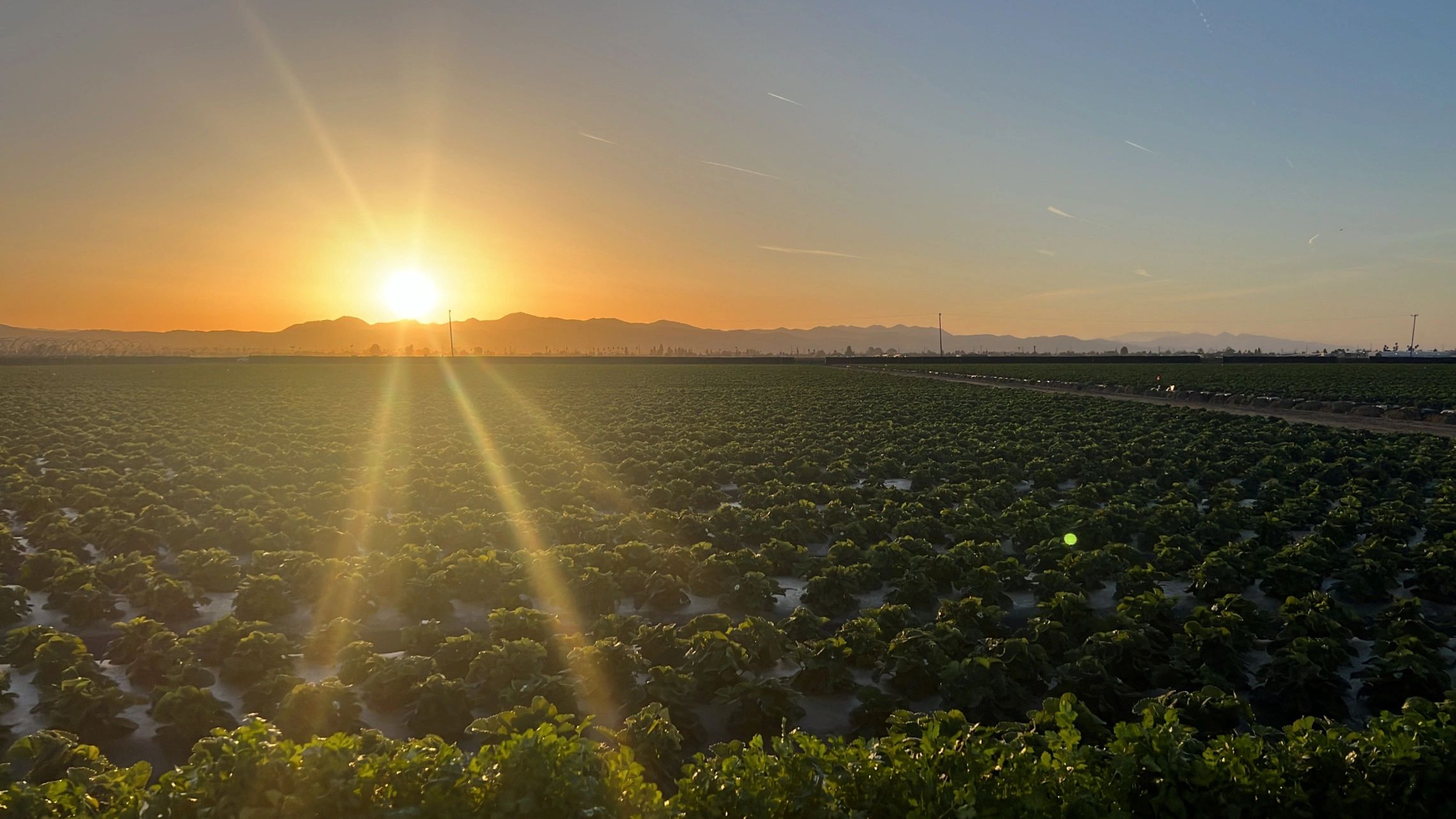 New Generation Harvesting Co.