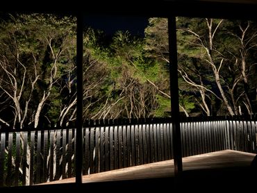 Illuminated wooden deck railing at night with trees in the background.
