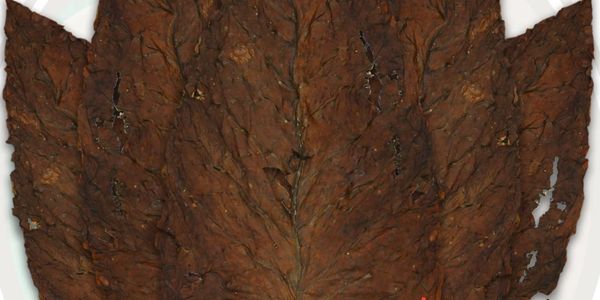 Premium quality, dark air cured tobacco