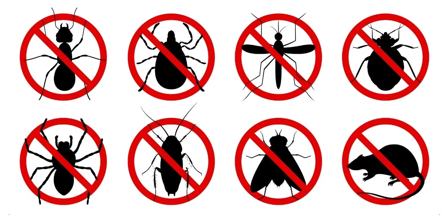 Logo Ozzy Pest Control Services