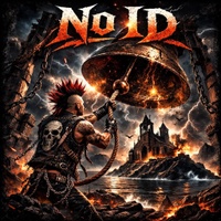 NO ID