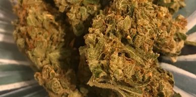 Citrus Bliss Cannabis Strain, Roll One cannabis, Maryland Medicinal Yoga, Ganja Yoga