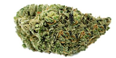 Fruity Pebbles OG x Sour Dub cannabis, Grow West Cannabis, Maryland Medicinal Yoga, High Yoga, 420
