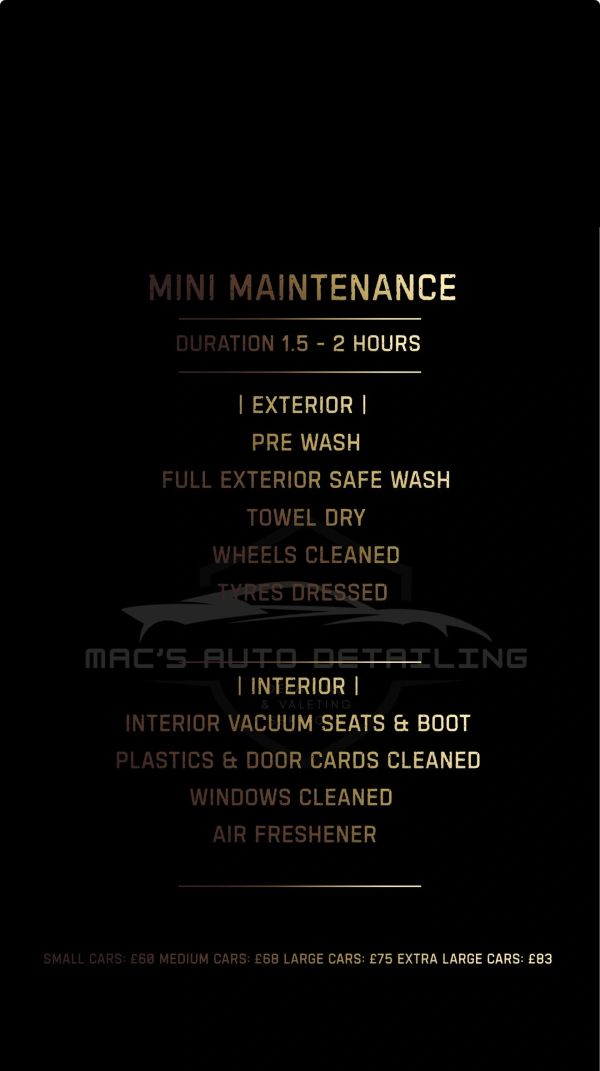 Car mini maintenance service with exterior and interior cleaning.