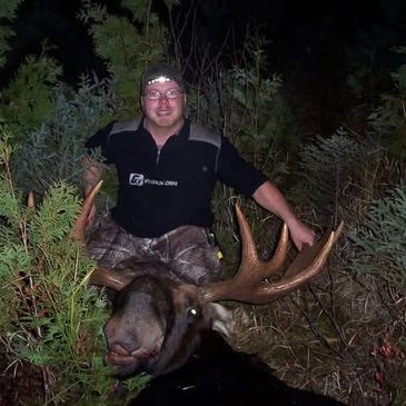 big moose