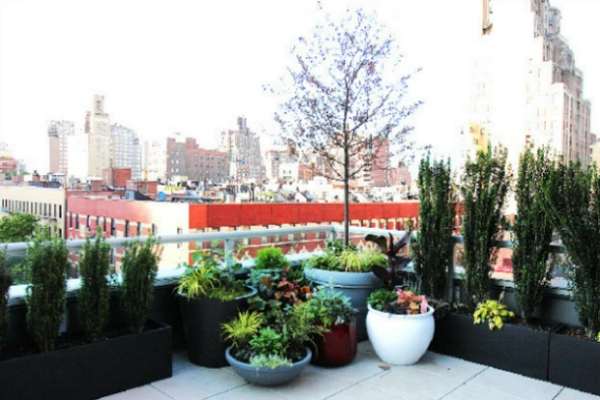 SPANX Corporate Headquarters Landscape Rooftop with ForeverLawn