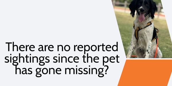 sighting, trapper, missing dog, missing cat, tracking, trailing, texas, search and rescue