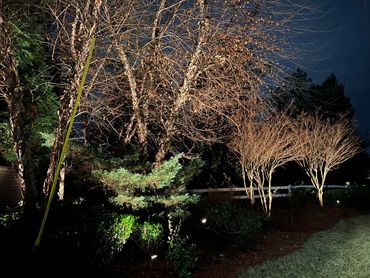 Westchase Glen, Atlanta, GA. Subdivision Lighting, KS Outdoor Lighting, www.ksoutdoorlighting.us 