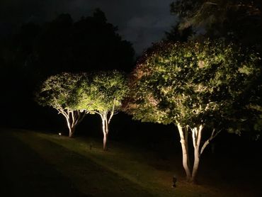 LED Up Lights, LED Down Lights, LED Wash Lights Low Voltage Landscape Lights, Chapel Hills