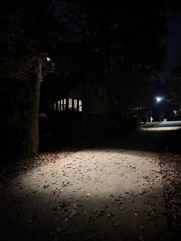 Tree down lights on driveway