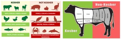 Graphic showing a sample of Kosher animals and what part, the front,  of a cow is Kosher
