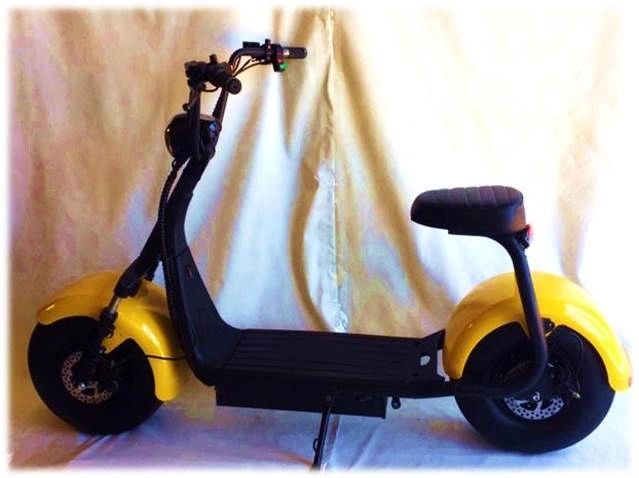 2 Wheel 1500 Watts Stripped Down Basic Scooter