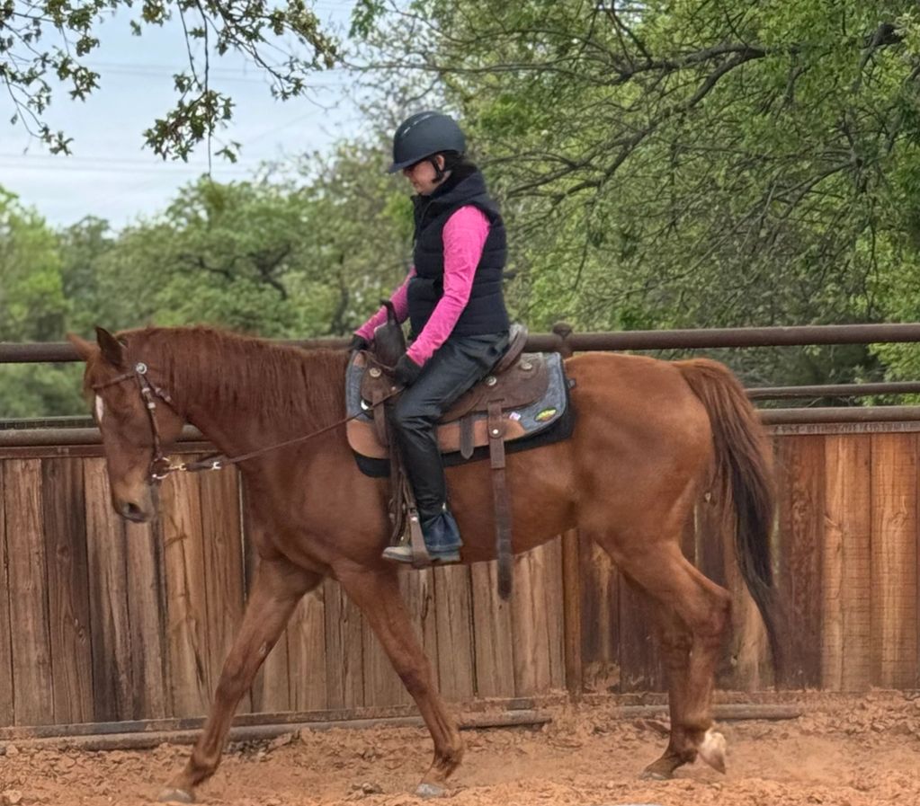Person riding a brown horse in an outdoor arena with wooden fencing.