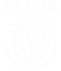 Valor Apparel Co