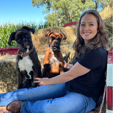woman with her boxer dogs
