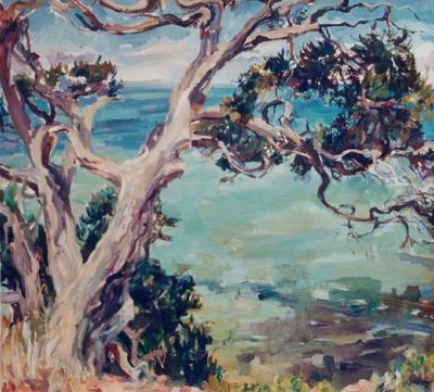 Oil on Linen 'Port Philip Bay' 
Victoria Australia.  Private Collection.