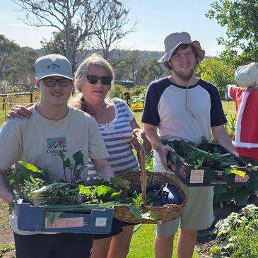 Three people harvesting vegetables in a garden on a sunny day.