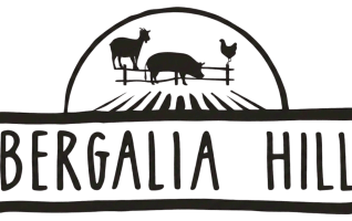 Bergaliahill