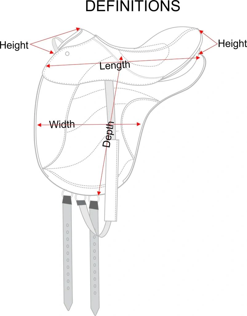 Saddle Anatomy