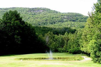 gorham country club tee times