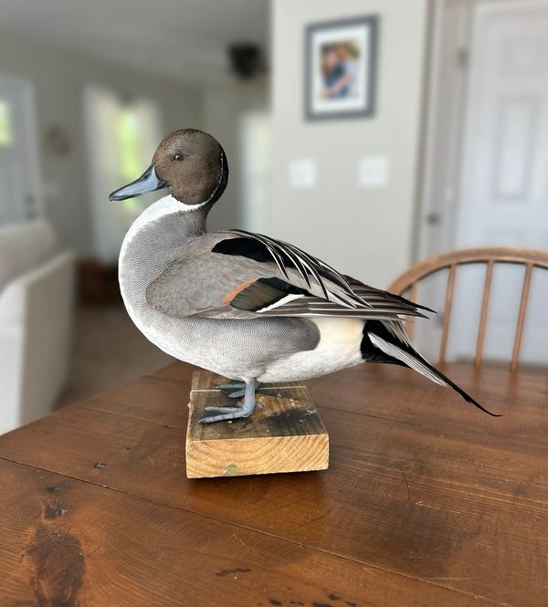 Realistic duck decoy on a wooden table indoors.