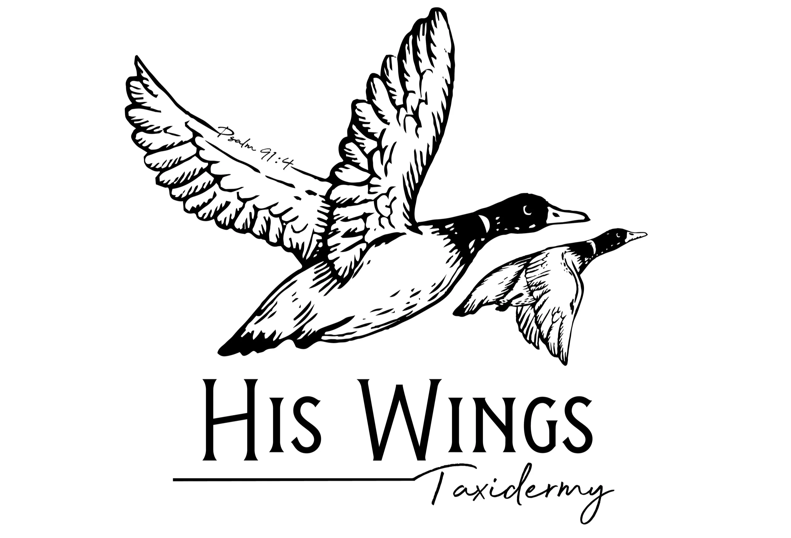 His Wings Taxidermy Logo