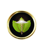 iGotkratom