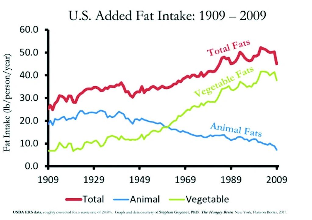 How Does Diet Affect Septic Systems