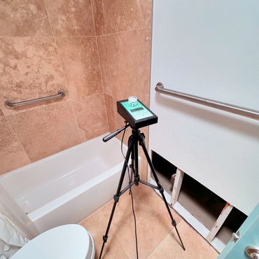 Mold inspection and testing samples