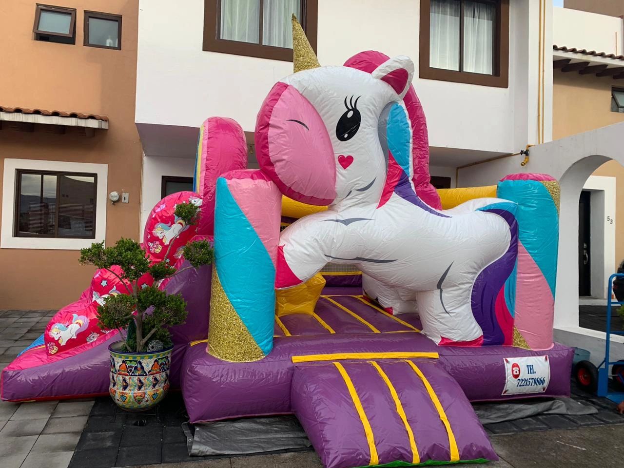 Unicornio(pony)
IMG0006