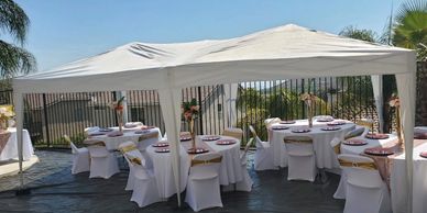 10 x 20 CANOPY
