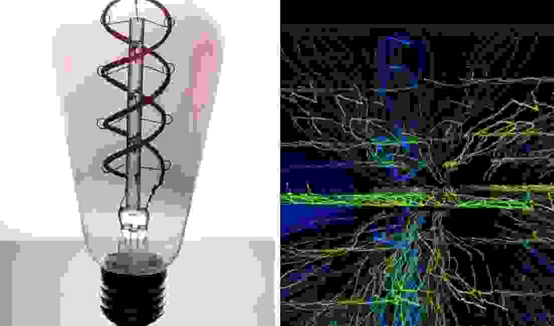 chapmans reflexes
 muscles
 activation
 switch on
muscle testing