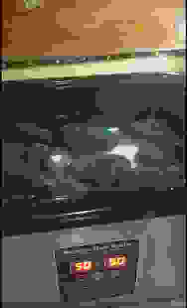 hot stone massage
relax
warming
soothing
massage
health and wellness