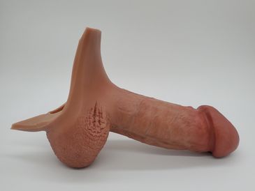 The Junior D Realistic FtM Transgender Prosthetic Penis By Hard Line Prosthetics