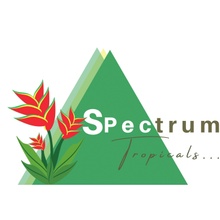 Spectrum Tropicals