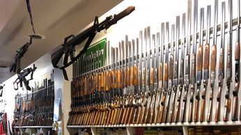 Wall of collector Guns