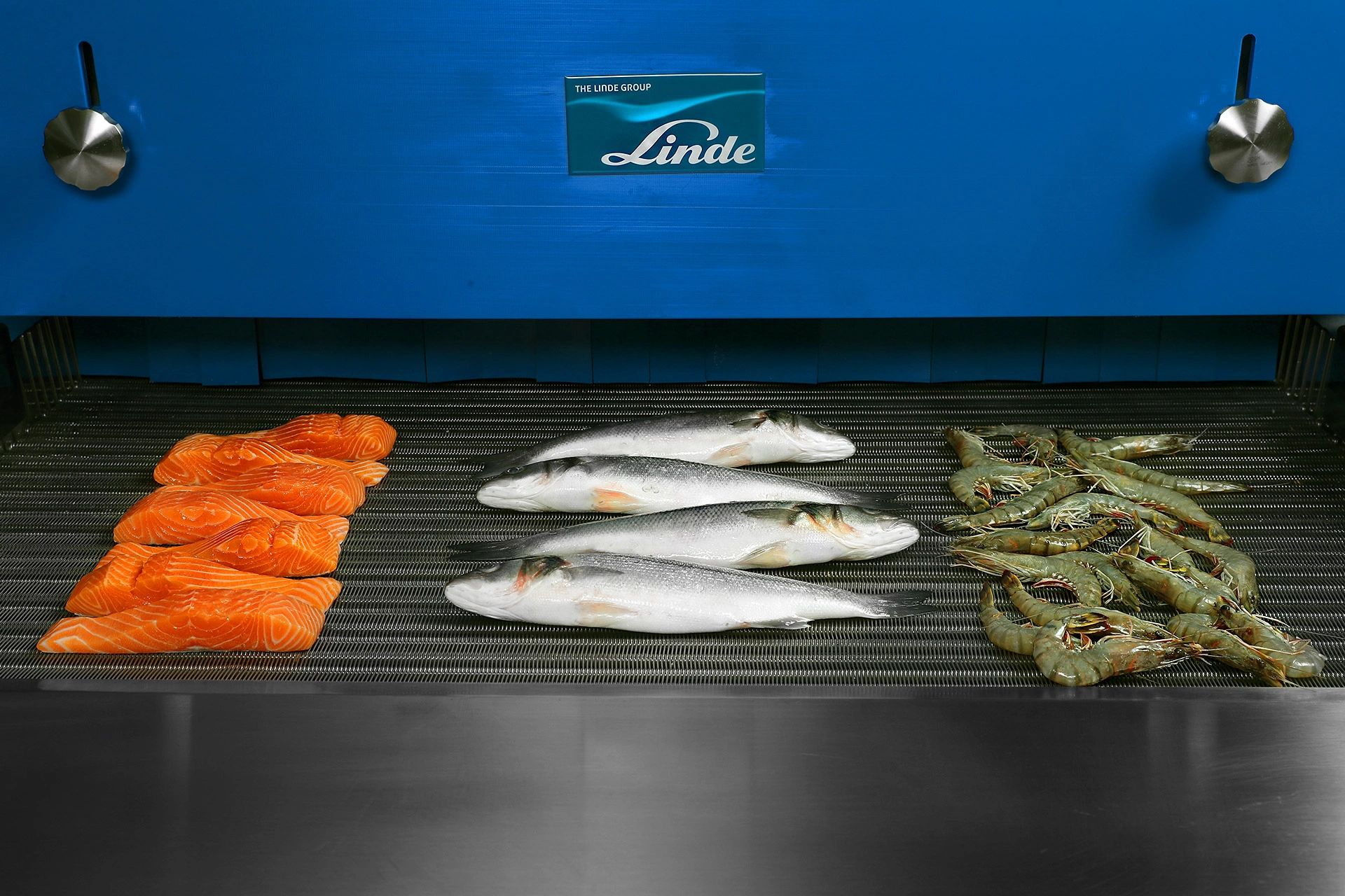 Prepared foods & Cryoline Freezer equipment at the Linde Food Technology Centre Laboratory,  ©UNP