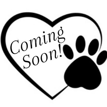 Heart and paw print with 'Coming Soon!' text inside the heart.
