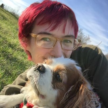 Kennel Attendants | Stack Hospital for Pets