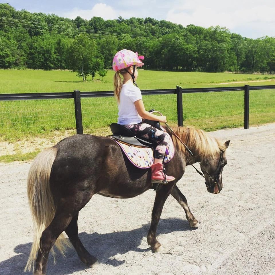 Take the Reins at White Fawn Farm