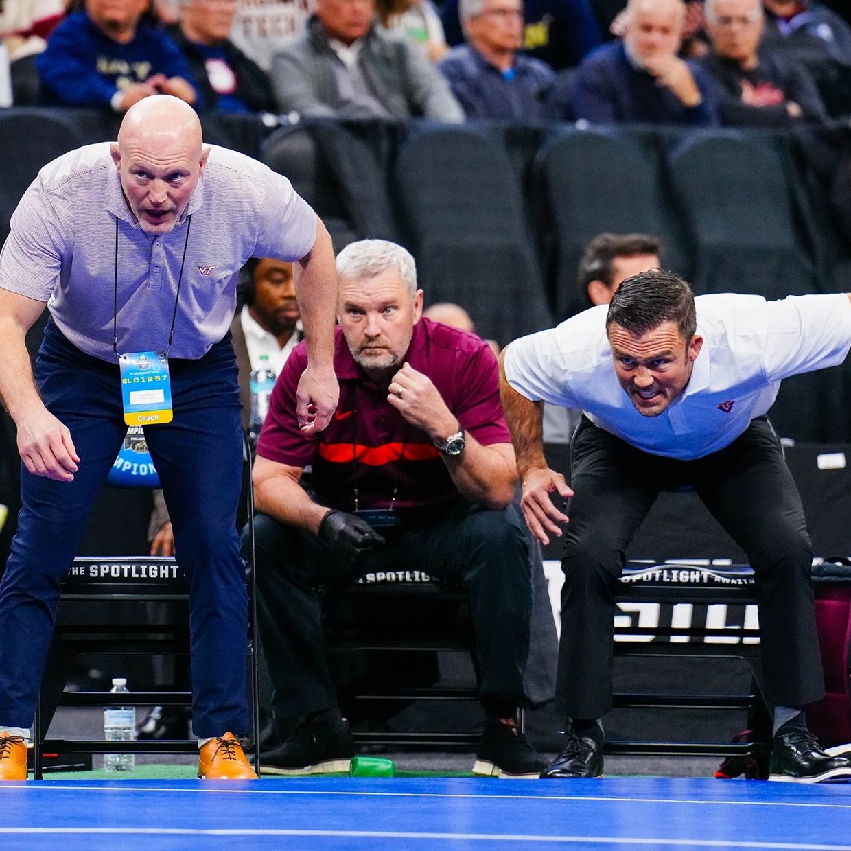Three coaches intensely watching a wrestling match.