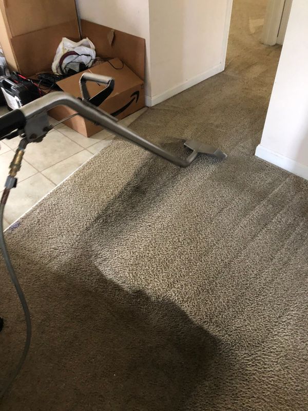 Carpet Cleaning Steamkraft Carpet And Upholstery Cleaners